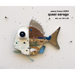 quasi sarago