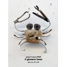 il giovane boss