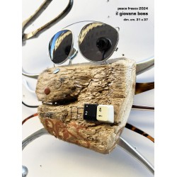 il giovane boss