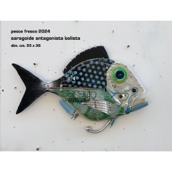 saragoide antagonista solista