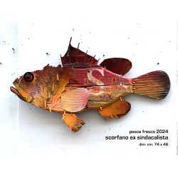 scorfano ex sindacalista