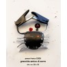 granchio amico di zorro