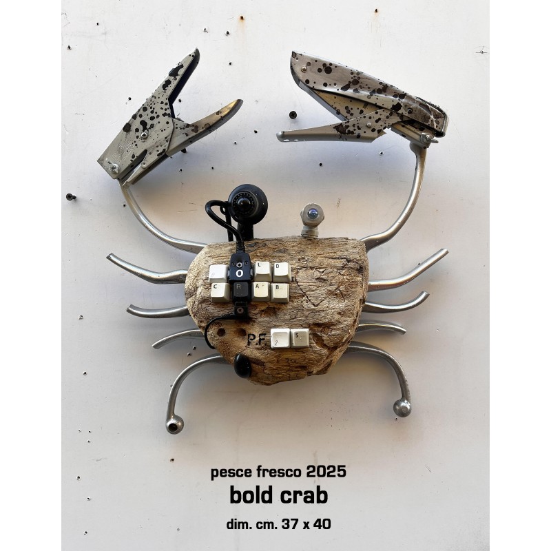 bold crab