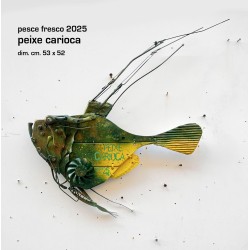 peixe carioca