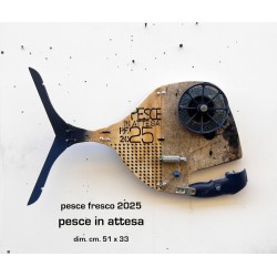 pesce in attesa