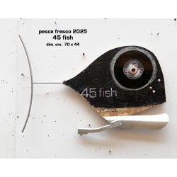 45 fish
