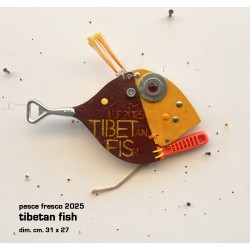 tibetan fish
