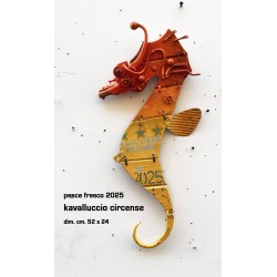 kavalluccio circense