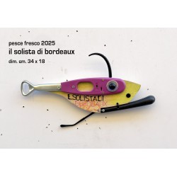 il solista di bordeaux