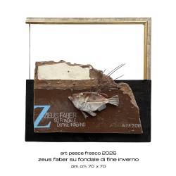 zeus faber su fondale a...