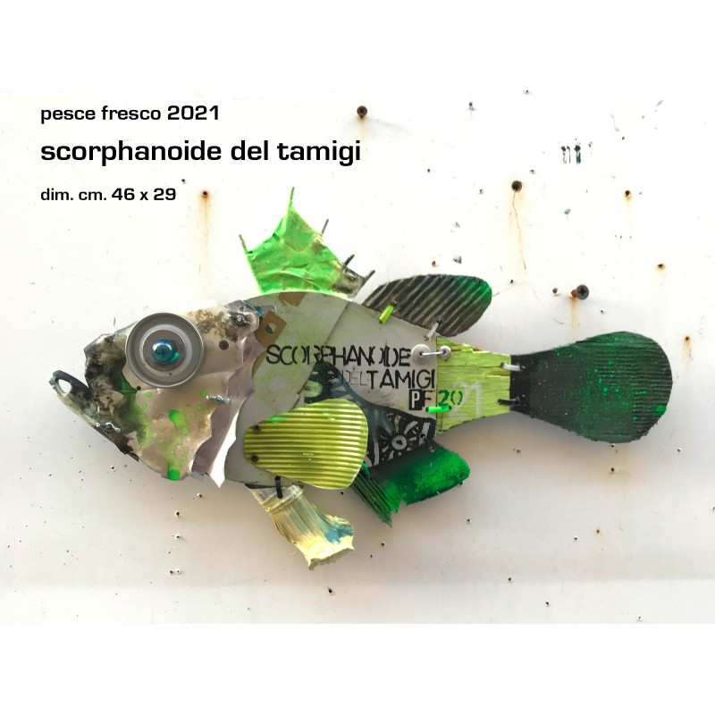 scorphanoide del tamigi