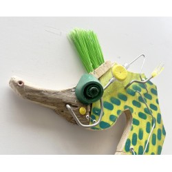 kavalluccio frequentatore della costa axzzurra