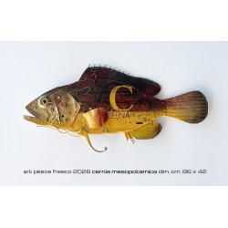 cernia mesopotamica