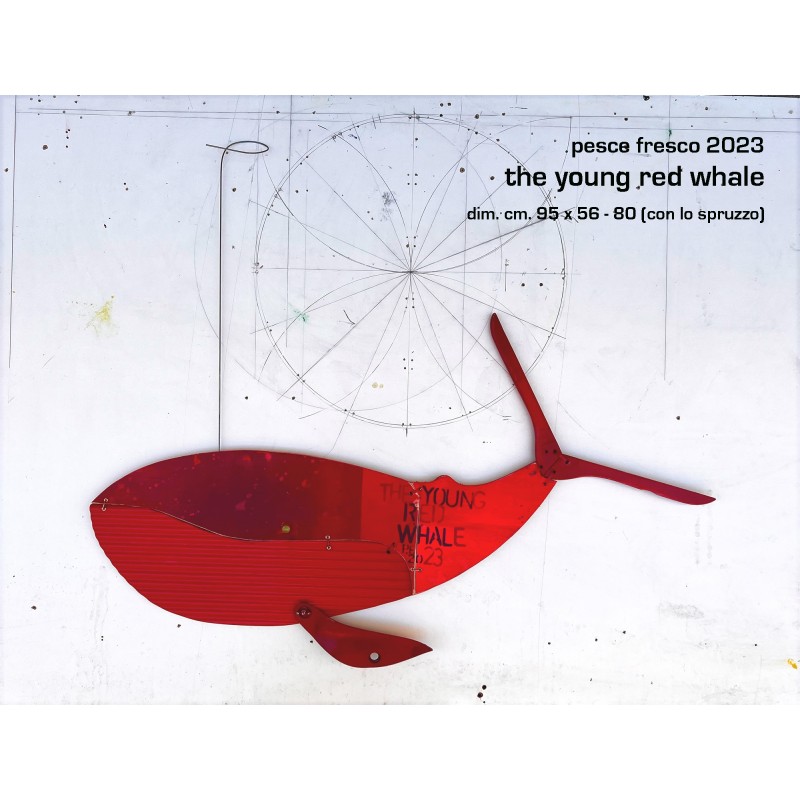 the young red whale