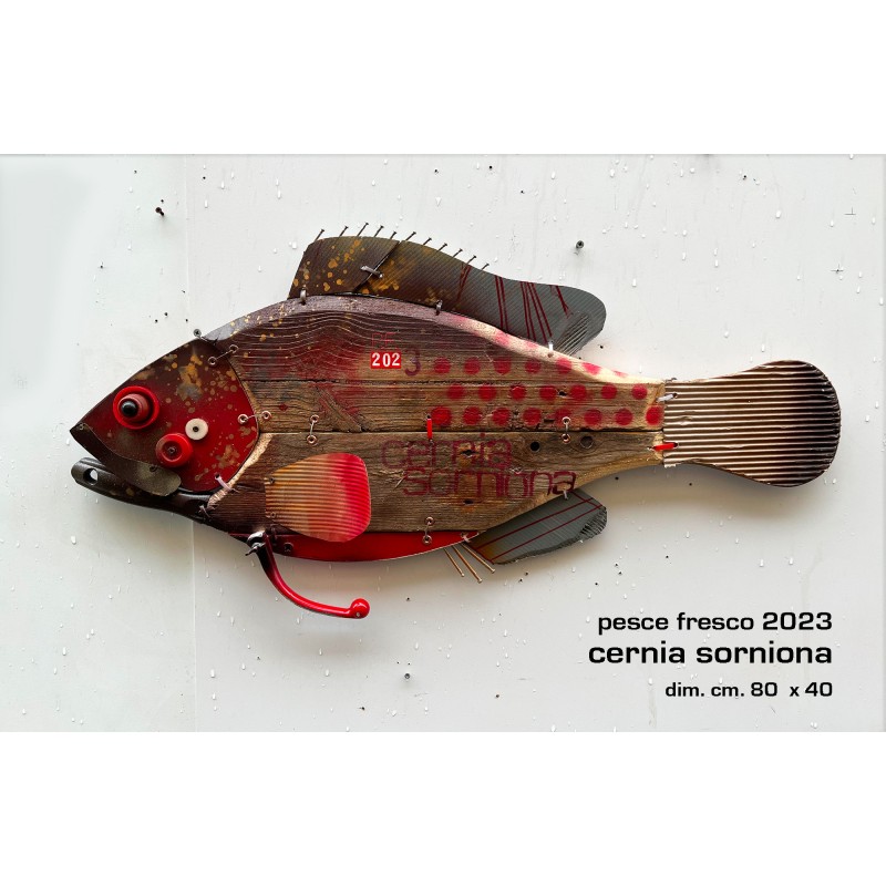 cernia sorniona